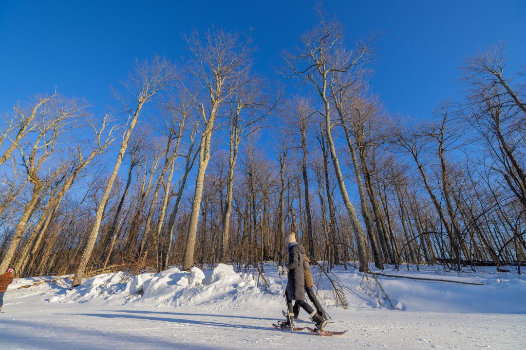 Snowshoeing