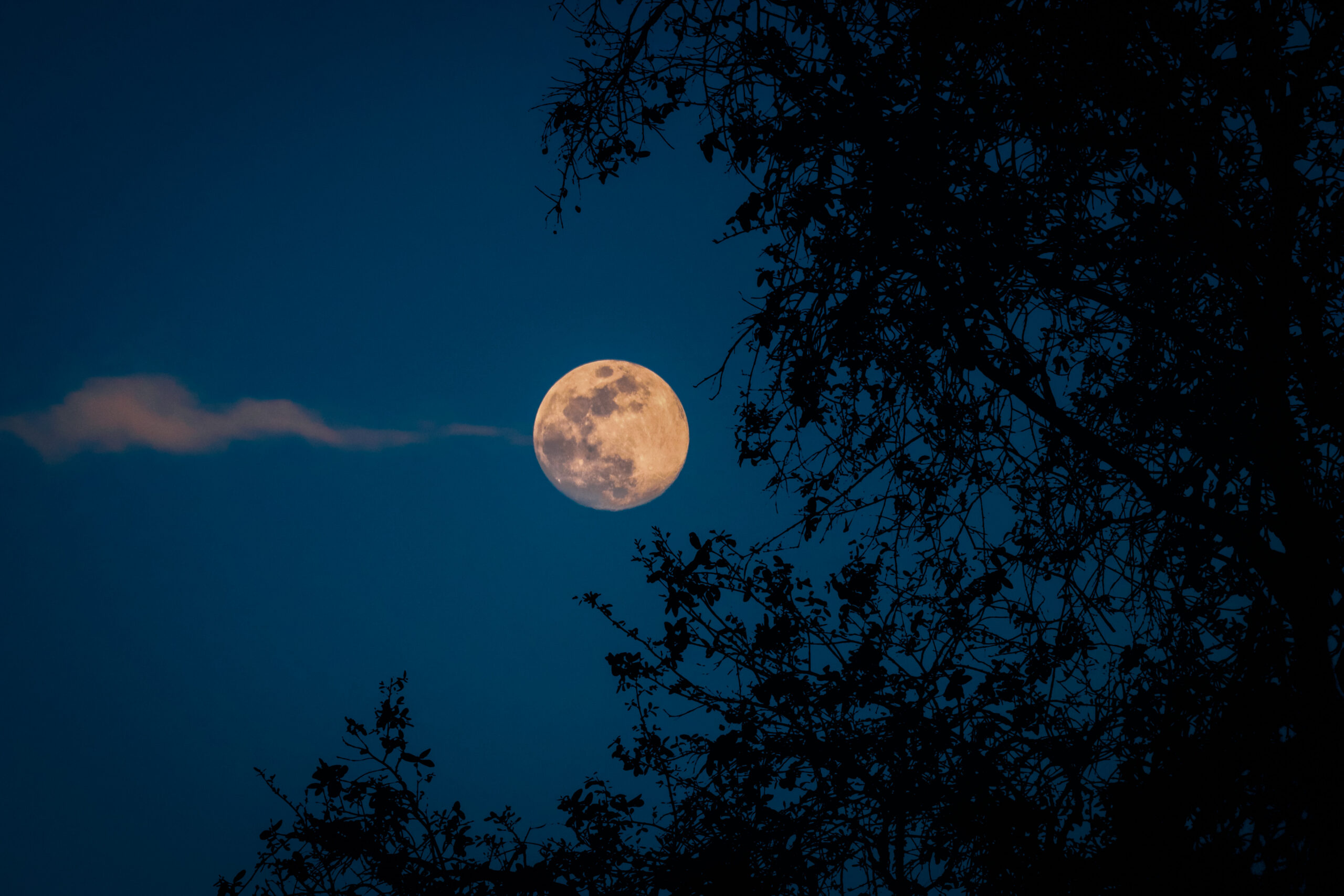 Hunter’s Moon Hike